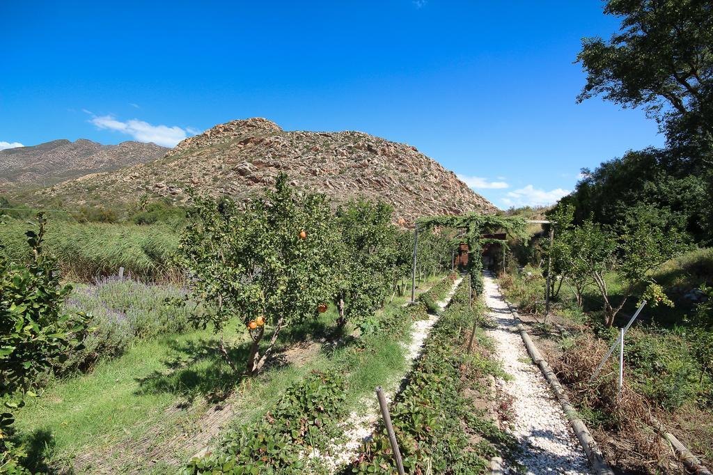Villa Kogman&Keisie Guest Farm Montagu Exterior foto